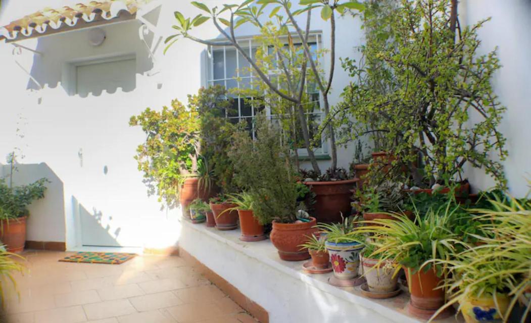 Atico Frente Al Mar - Vistas, Piscina, Terrazas, Parking! Apartment เบนัลมาเดนา ภายนอก รูปภาพ